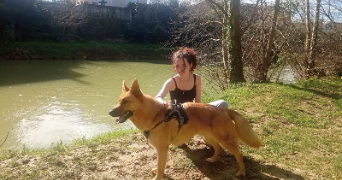 gen pet sitter à TOULOUSE 31000_2