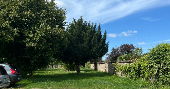 mathilde pet sitter à GIEN 45500_1