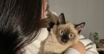 ikram cat sitter à PARIS 13 75013_0