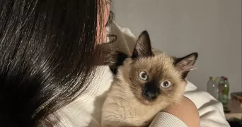 ikram cat sitter à PARIS 13 75013