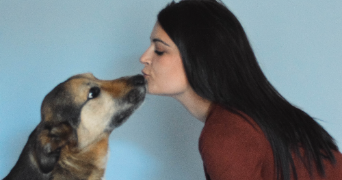 camille pet sitter à MESNIL EN OUCHE 27410_1