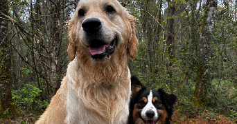 candice pet sitter à EYSINES 33320_1