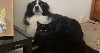 noemie pet sitter à BRIONNE 27800_3