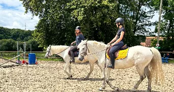 mathilde pet sitter à LE MANS 72000