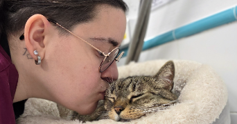 luna pet sitter à PARIS 12 75012_1