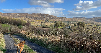 prune pet sitter à ANGERS 49000_2