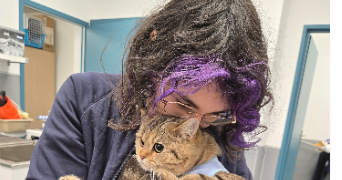 coralie pet sitter à ANTIBES 06600_0