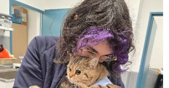 coralie pet sitter à ANTIBES 06600