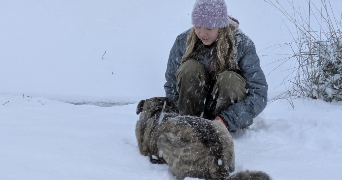 marie pet sitter à VERT LE GRAND 91810_1