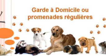 rose pet sitter à AMBOISE 37400_0