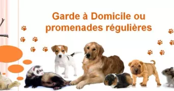 rose pet sitter à AMBOISE 37400