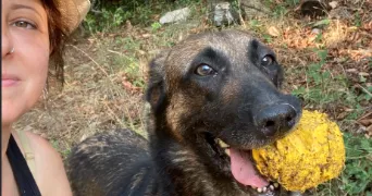 mélissa pet sitter à GARDANNE 13120