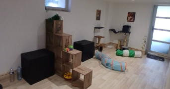 celine pet sitter à LANGEAIS 37130_5