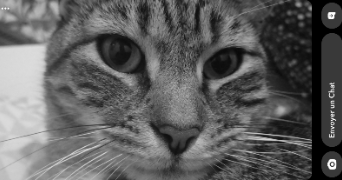 zoé pet sitter à DIJON 21000