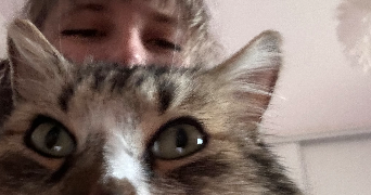 lison pet sitter à ARRAS 62000_0