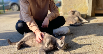 lucas pet sitter à CLARAFOND ARCINE 74270_2