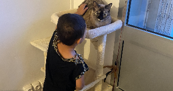 saadia cat sitter à CHATENAY MALABRY 92290_1
