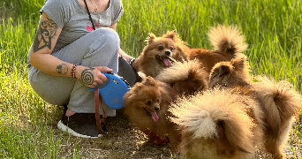 aude pet sitter à ST CYR SUR LOIRE 37540_3