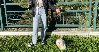 ines pet sitter à VILLEURBANNE 69100_2