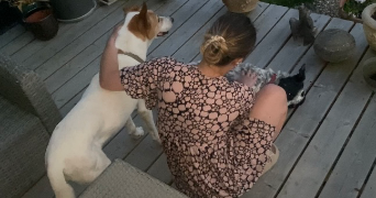 léa pet sitter à Allemans-du-Dropt 47800_3