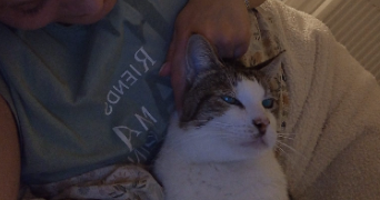 aurelie pet sitter à MONTPELLIER 34000_12
