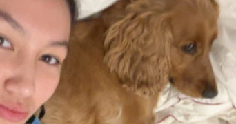 ana pet sitter à PARIS 13 75013_3