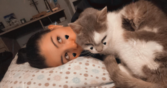 lana pet sitter à ST ANDRE DE LA ROCHE 06730_2