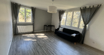 mario pet sitter à NANTES 44300_1