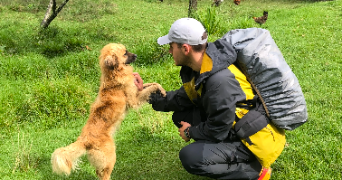 hugo pet sitter à Grenoble 38000_2