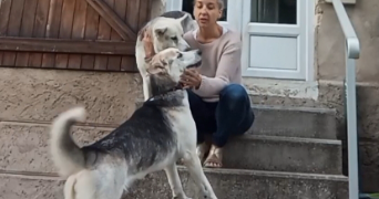 muriele pet sitter à COMMERCY 55200_6