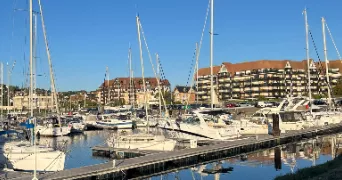 isaac william dog sitter à MAISONS ALFORT 94700