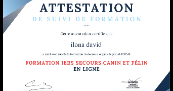 ilona pet sitter à PARIS 13 75013_8