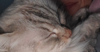 catherine pet sitter à PERPIGNAN 66000_1