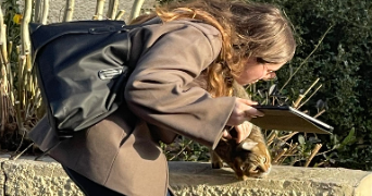 eva luna pet sitter à DUNKERQUE 59140_3