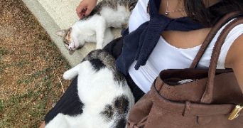 hulya pet sitter à PARIS 19 75019_1