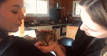 robine pet sitter à AUCAMVILLE 31140_4