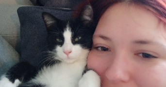 hypollène pet sitter à BREST 29200_1