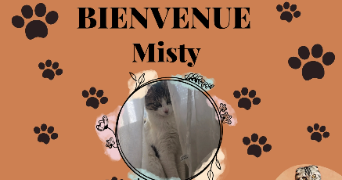 leslie anne pet sitter à STE GENEVIEVE DES BOIS 91700_6