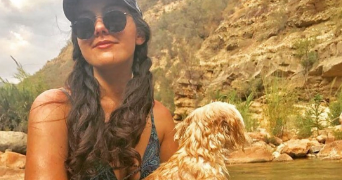 kamelia pet sitter à LINGOLSHEIM 67380_0