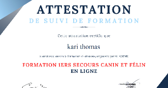 kari pet sitter à ST CHRISTOL 84390_9