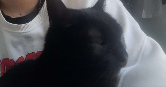 alix pet sitter à STRASBOURG 67000_1