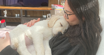 ambre pet sitter à LAXOU 54520_1