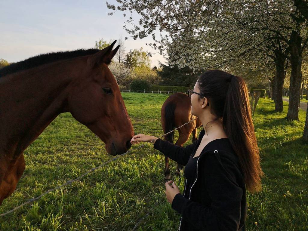 cassandra pet sitter à Reims 51100_3