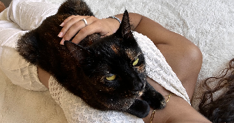 chaima pet sitter à MONTPELLIER 34080_2