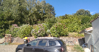 yohan pet sitter à VILLEMUR SUR TARN 31340_3