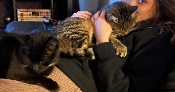 armonie pet sitter à MARSEILLE 09 13009_3