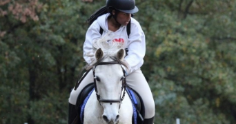 madjiguene pet sitter à NIMES 30900_3