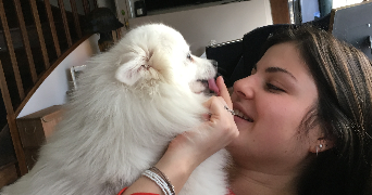 victoria pet sitter à Nanterre 92000_5