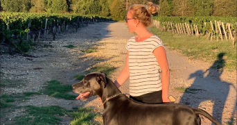 johanna pet sitter à SOUSSANS 33460_0