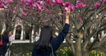 nawel pet sitter à  94310